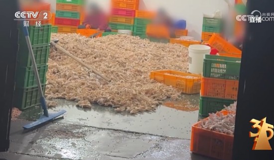 央视315晚会七大曝光直击消费痛点；食品安全隐患频现，新型骗局层出不穷。