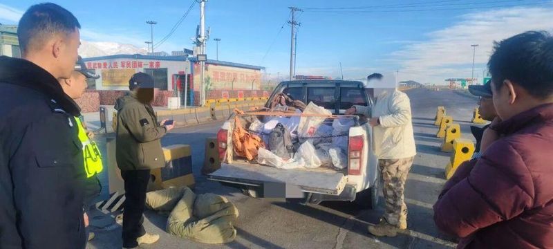  青海海西州公安铁腕行动，捣毁非法采矿窝点6处；当场抓获涉案人员122名。 新闻