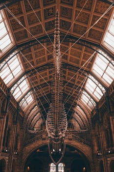  中国产业竞争力真相揭晓；潘功胜呼吁理性看待全球再平衡。 IT技术 中国产业竞争力真相揭晓；潘功胜呼吁理性看待全球再平衡。 IT技术