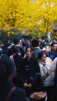 财报分析：知乎盈利背后的商业逻辑与隐忧 股票财经