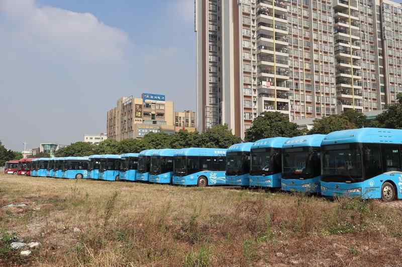  并非偶然的失控：输入性疫情如何击穿现有的防控体系 新闻 并非偶然的失控：输入性疫情如何击穿现有的防控体系 新闻 并非偶然的失控：输入性疫情如何击穿现有的防控体系 新闻