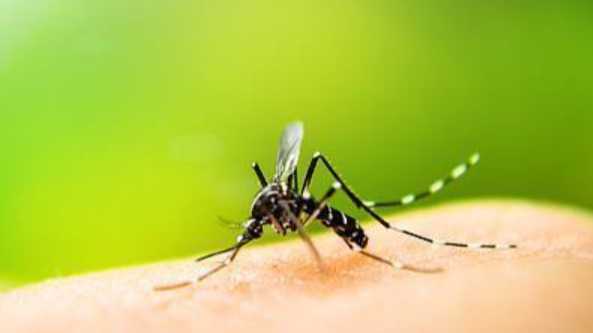  并非偶然的失控：输入性疫情如何击穿现有的防控体系 新闻 并非偶然的失控：输入性疫情如何击穿现有的防控体系 新闻 并非偶然的失控：输入性疫情如何击穿现有的防控体系 新闻