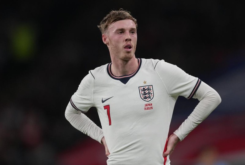 焦虑与困境：英超新星的身价泡沫与竞技滑坡