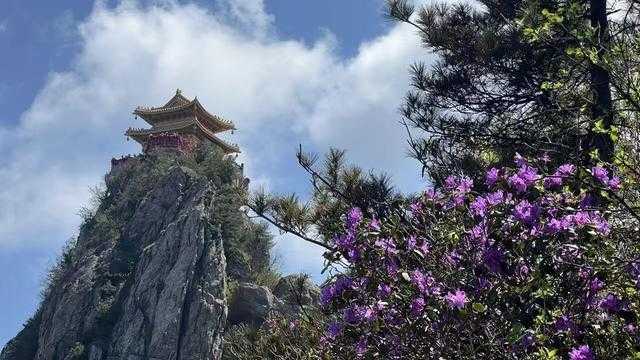  长假流量爆发：洛阳景区为何全面升级预约管控机制 文化旅游