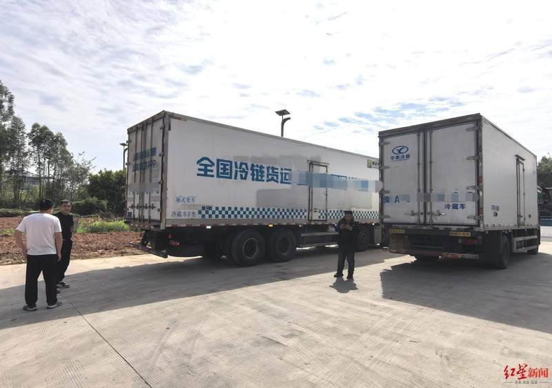  冷链物流的风险防控：生鲜采购中的避坑实战指南 企业服务