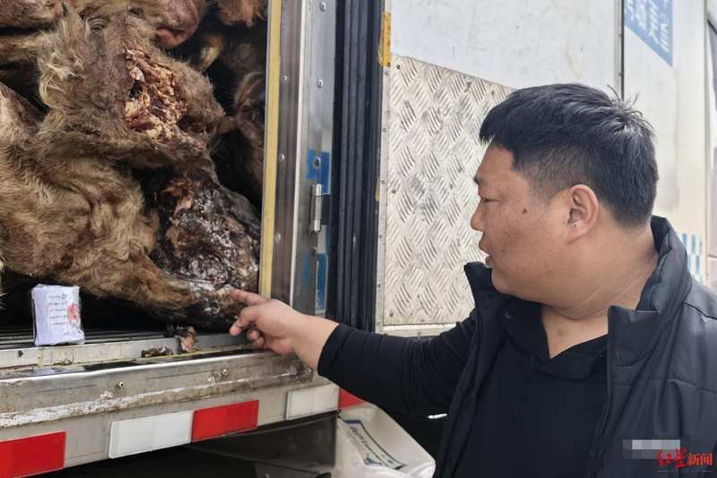  冷链物流的风险防控：生鲜采购中的避坑实战指南 企业服务