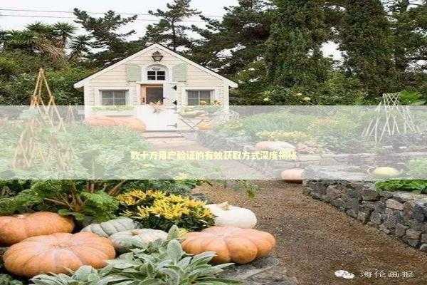 数十万用户验证的有效获取方式深度揭秘 新闻