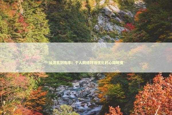 从混乱到有序：个人网络环境优化的心路蜕变