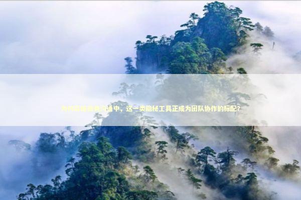 为何高端商务沟通中，这一类隐秘工具正成为团队协作的标配？ IT技术